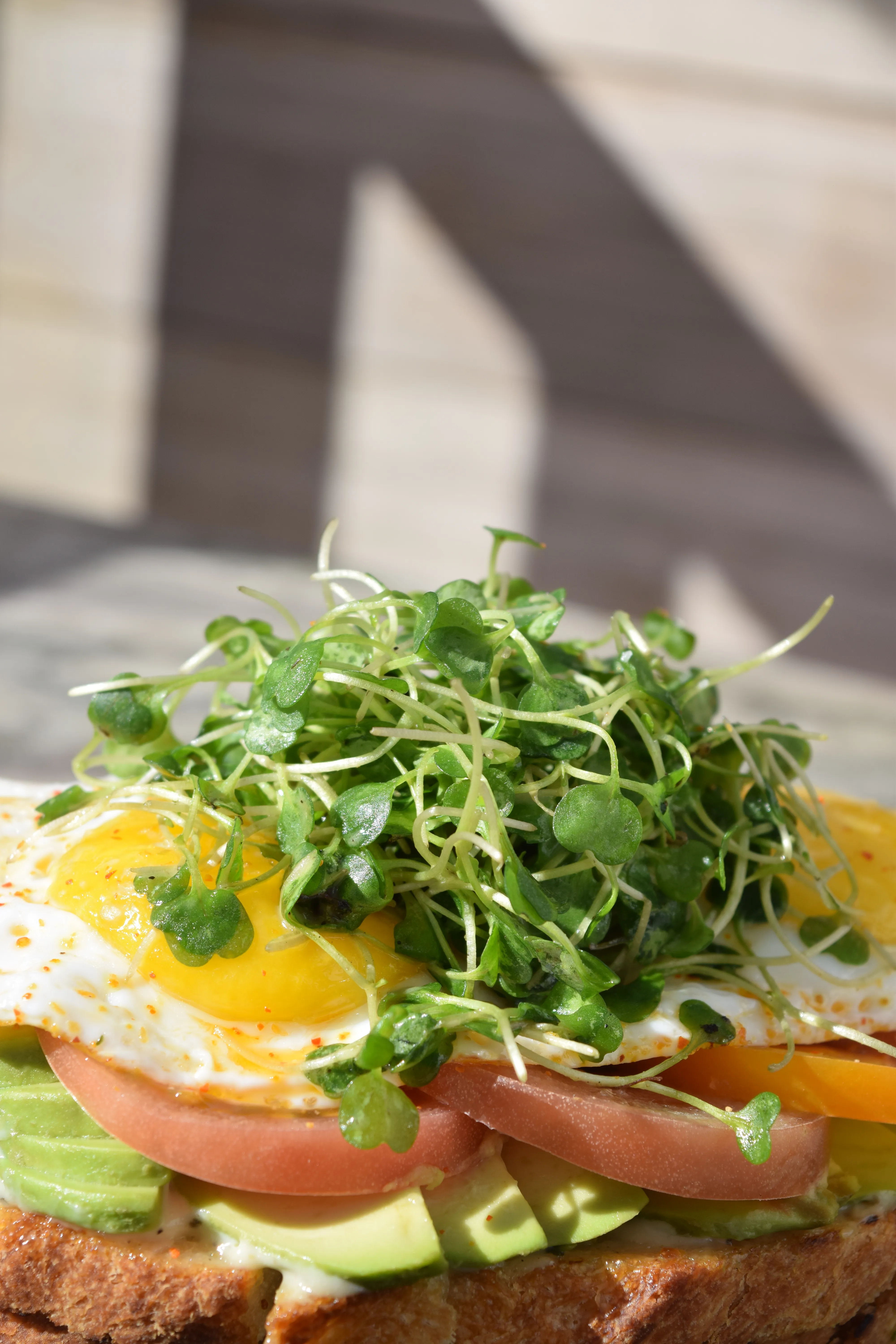 Avocado toast with fried egg, heirloom tomatoes and microgreens on sourdough