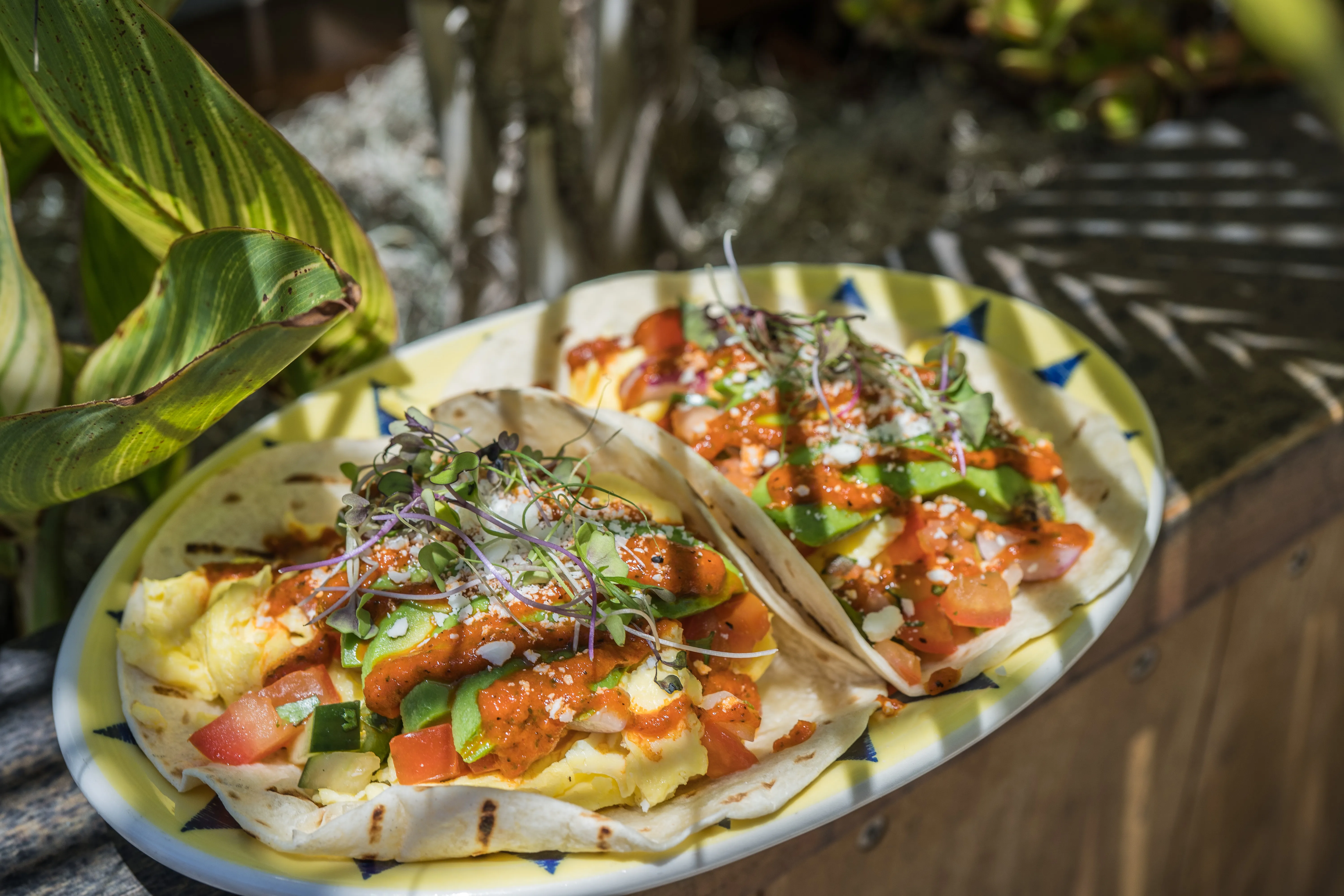 Tasty Breakfast Tacos