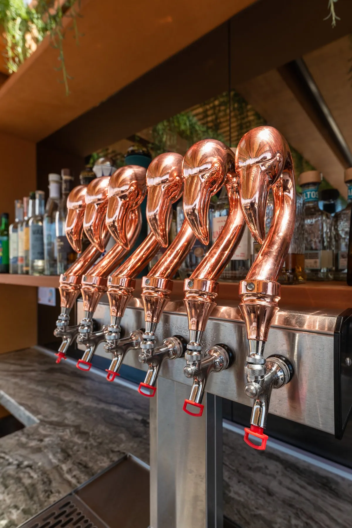 Copper flamingo draft tap handles at Coco Cabana bar
